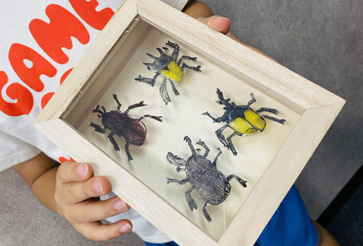 夏休みの親子アート「プラ板でつくる昆虫標本」