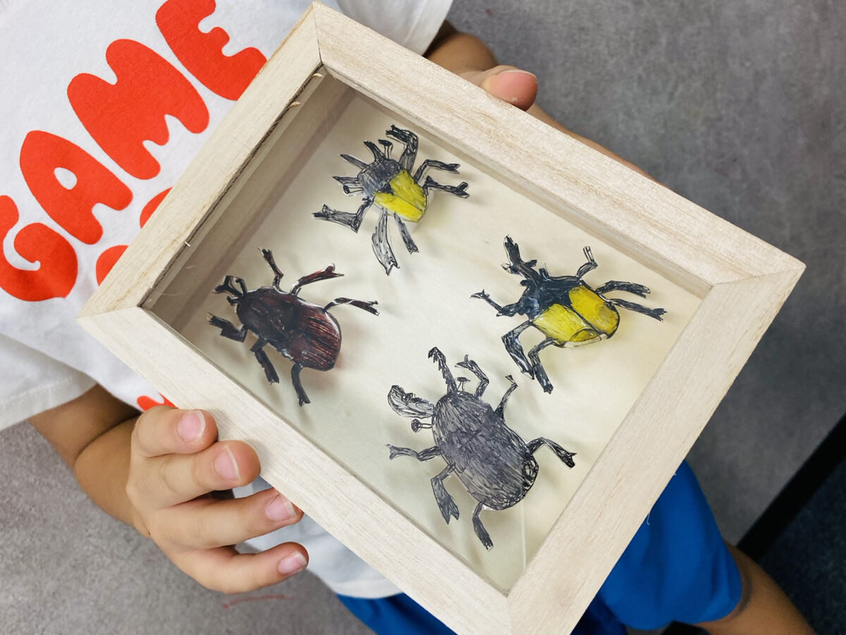 夏休みの親子アート「プラ板でつくる昆虫標本」 | 大阪の絵画教室・お