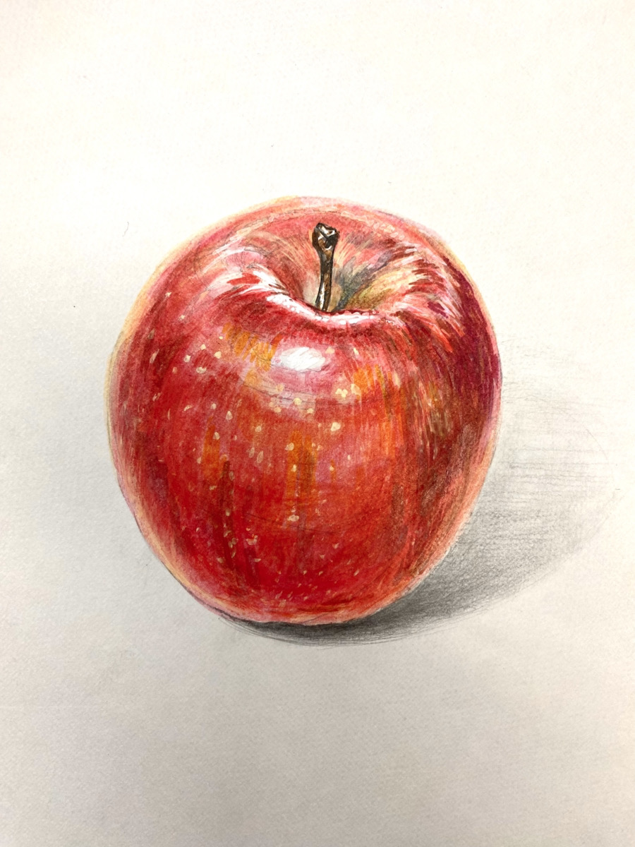 「大人のためのアートレッスン」2026年4月スタート予定です！